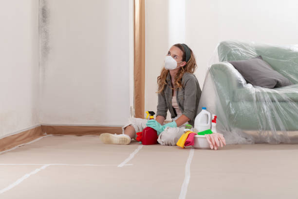 Reliable Mold Inspection contractor in North Babylon, NY by WQB Mold Removal